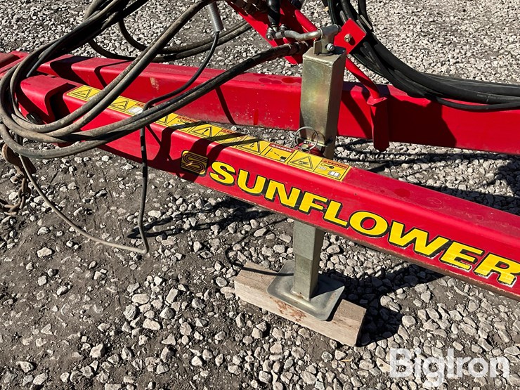 2011-sunflower-1435-image-13