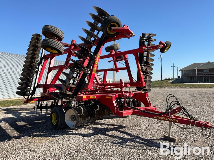 2011-sunflower-1435-image-3