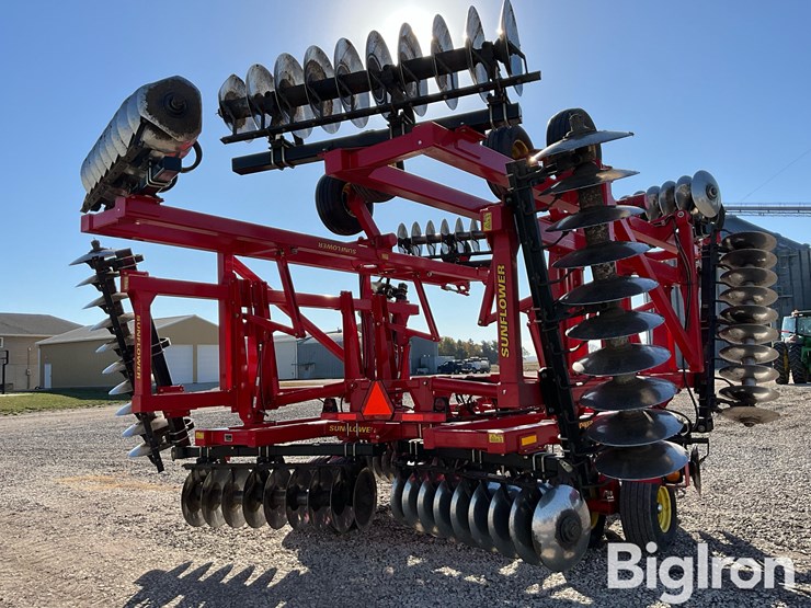 2013-sunflower-1435-image-5