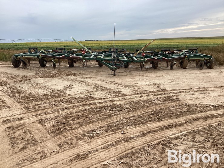 sunflower-3370-40-image-2