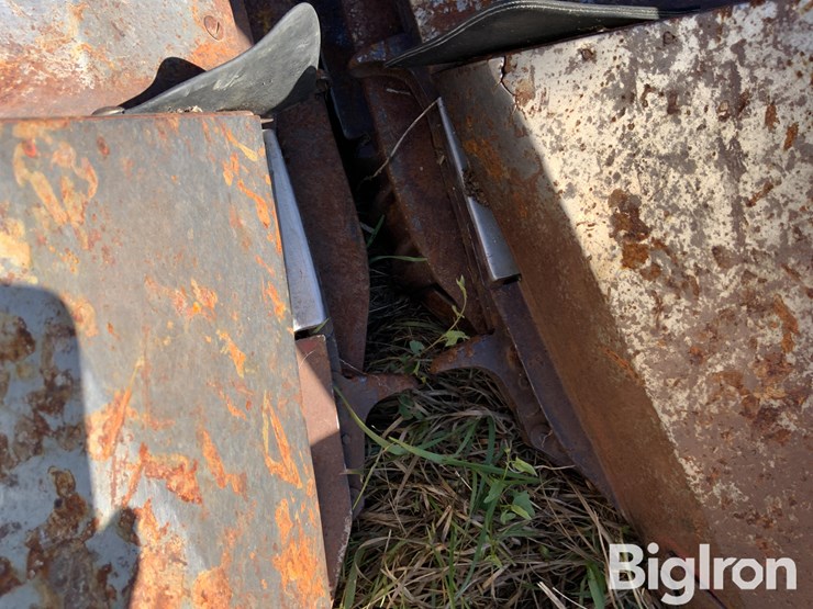 international-1460-image-10