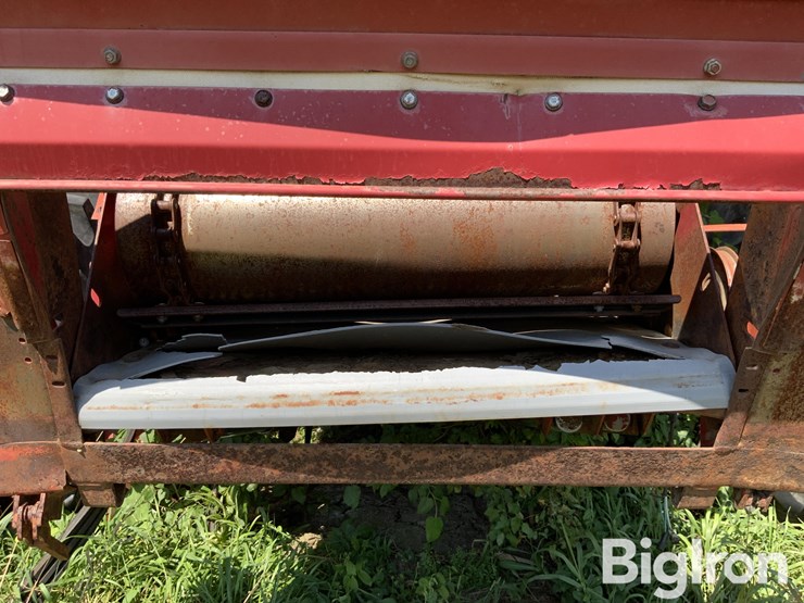 1981-international-1440-image-9