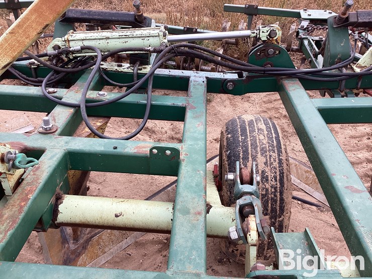 sunflower-3370-40-image-17