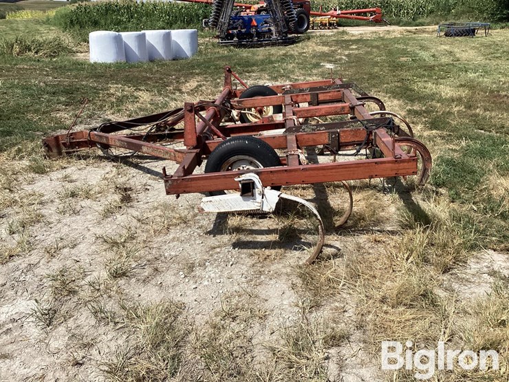 international-11-image-8