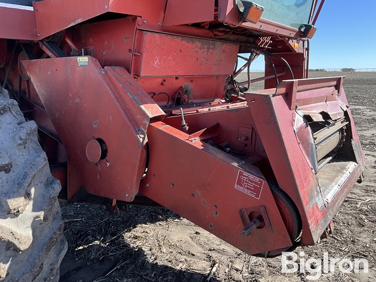 1981-international-1440-image-14