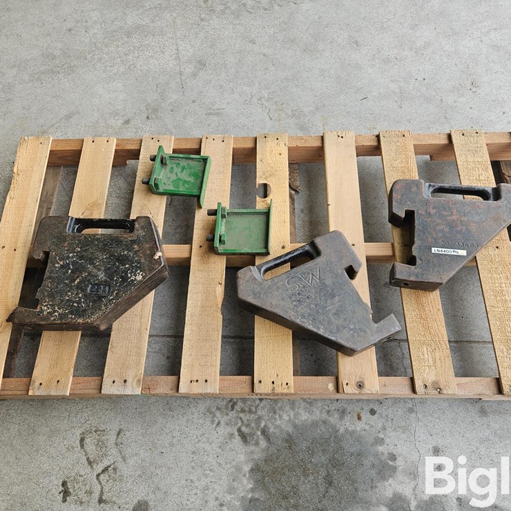 Misc. Suitcase Weights