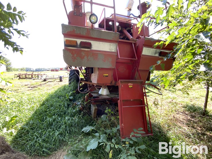 1981-international-1440-image-6