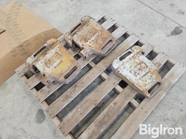 minneapolis-moline-10a24132-suitcase-weights-image-5