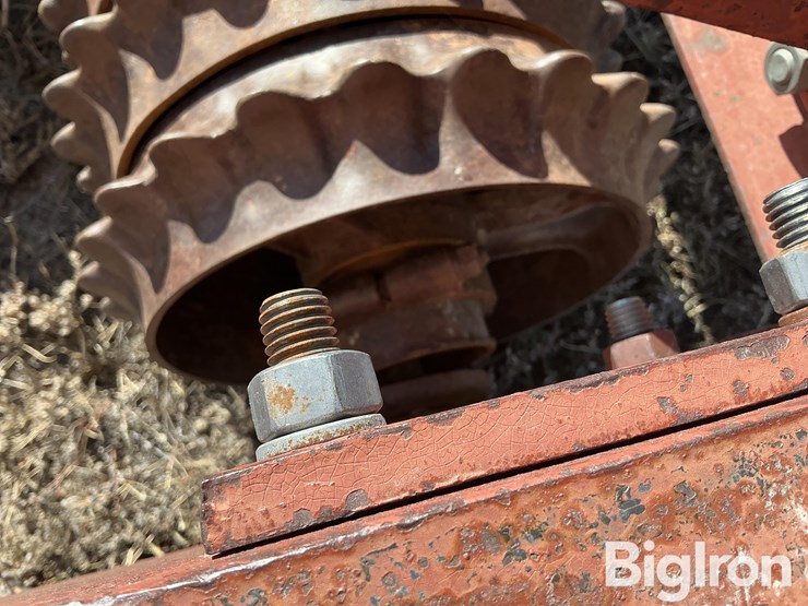 international-315-image-15