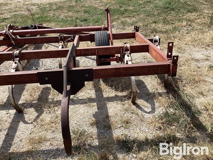 international-11-image-19