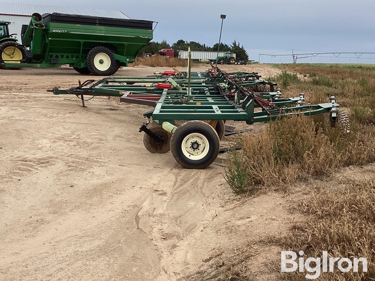 sunflower-3370-40-image-8