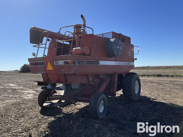 1981-international-1440-image-5