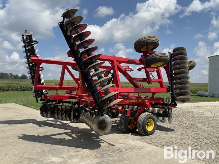 2010-sunflower-1435-image-5