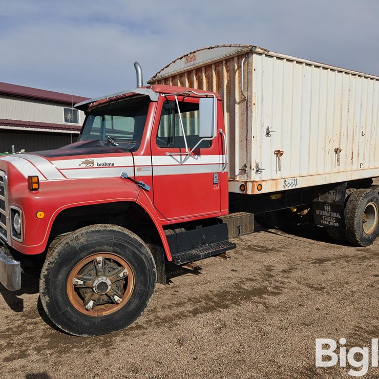 1981 INTERNATIONAL DT466