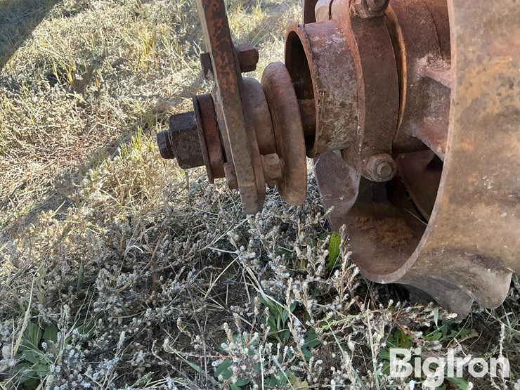 international-315-image-16