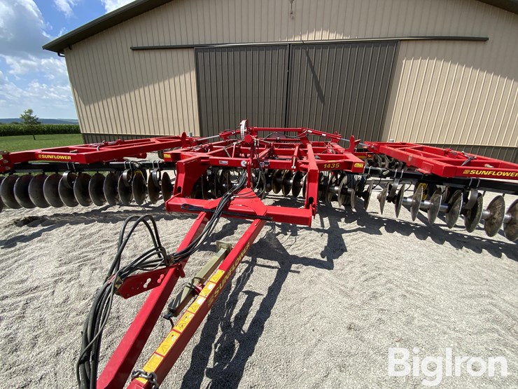 2010-sunflower-1435-image-19