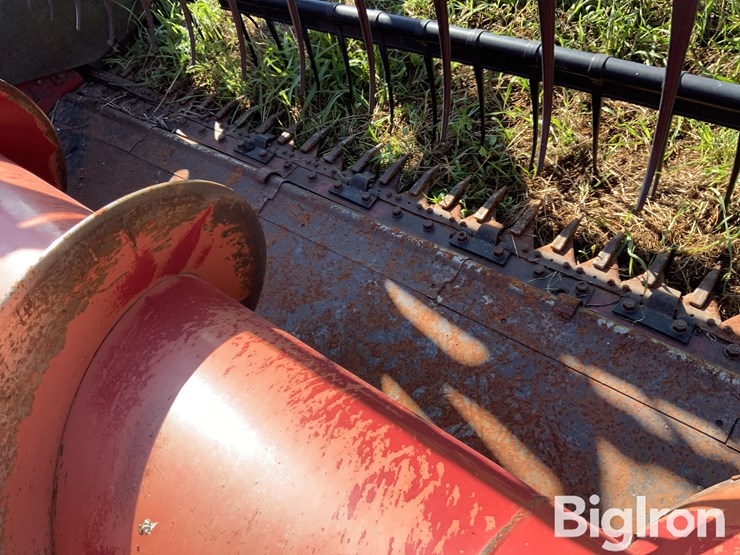 international-15-image-19