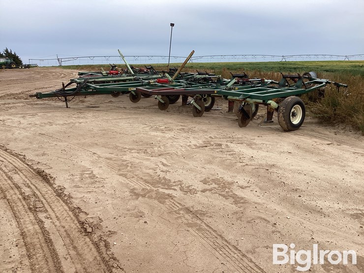 sunflower-3370-40-image-1