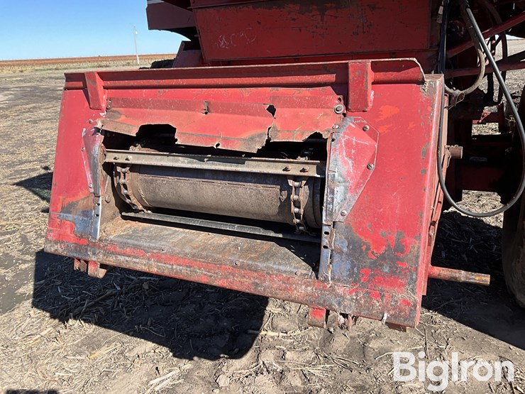 1981-international-1440-image-9