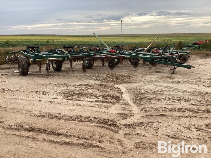 sunflower-3370-40-image-3