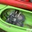 necky/current-design-kayaks-image-9