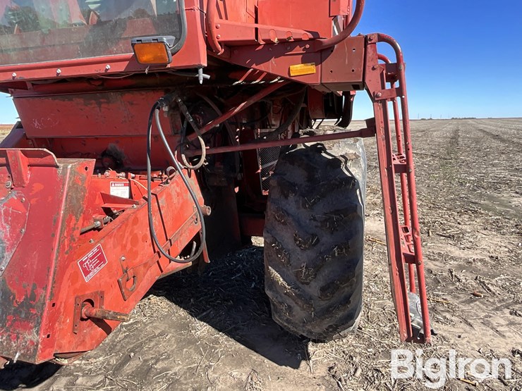 1981-international-1440-image-13