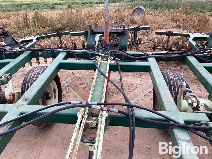 sunflower-3370-40-image-13