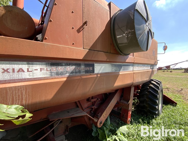 1981-international-1440-image-5