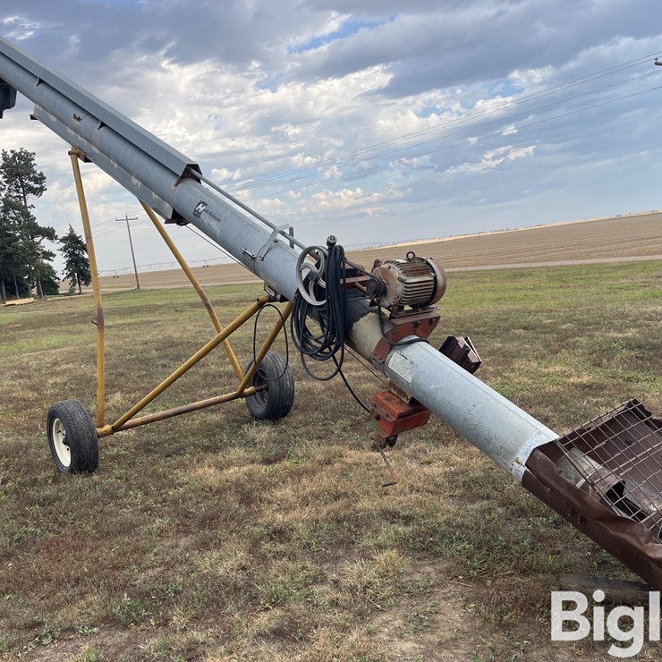 Hutchinson 1231 Electric Auger