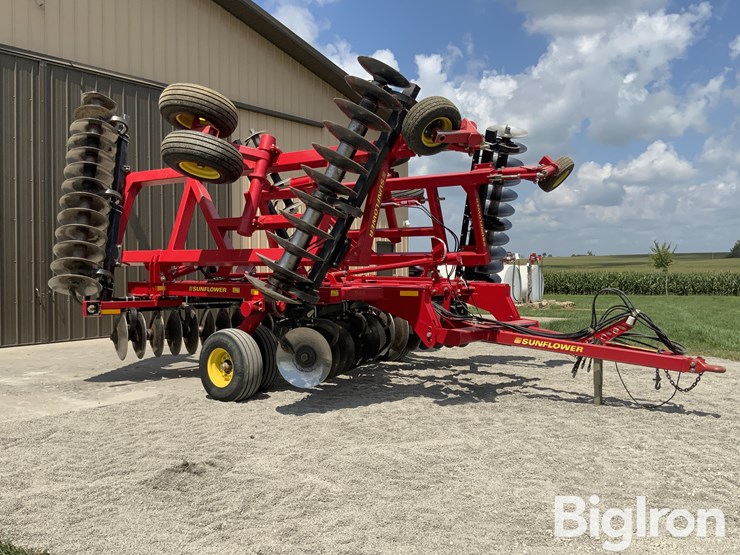 2010-sunflower-1435-image-3