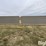 freestanding-livestock-windbreak-image-2