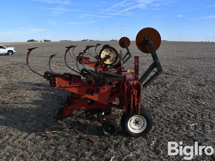 international-183-image-4