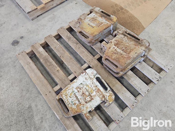 minneapolis-moline-10a24132-suitcase-weights-image-3