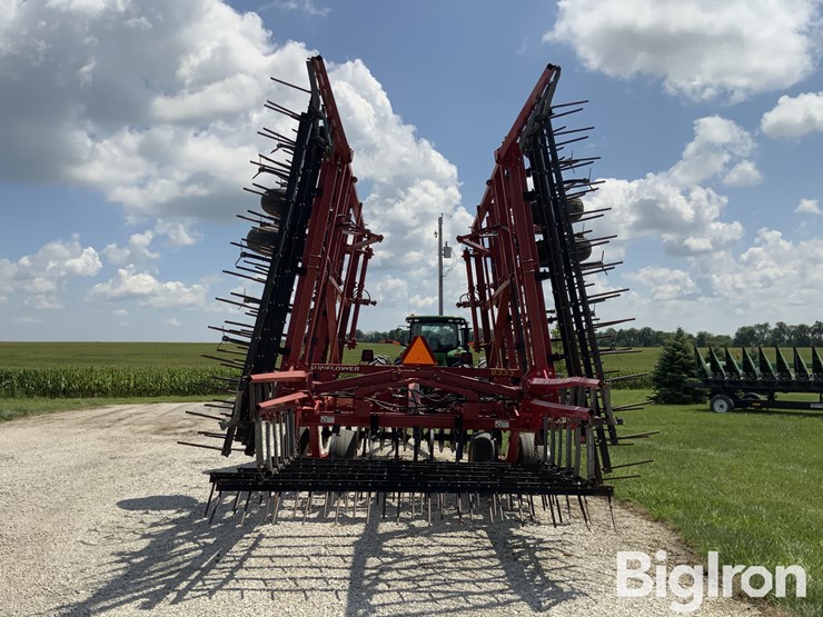 sunflower-6333-31-image-6