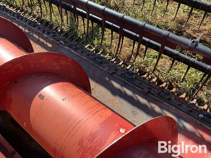 international-15-image-16