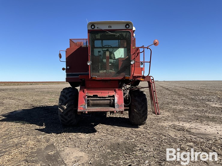 1981-international-1440-image-2