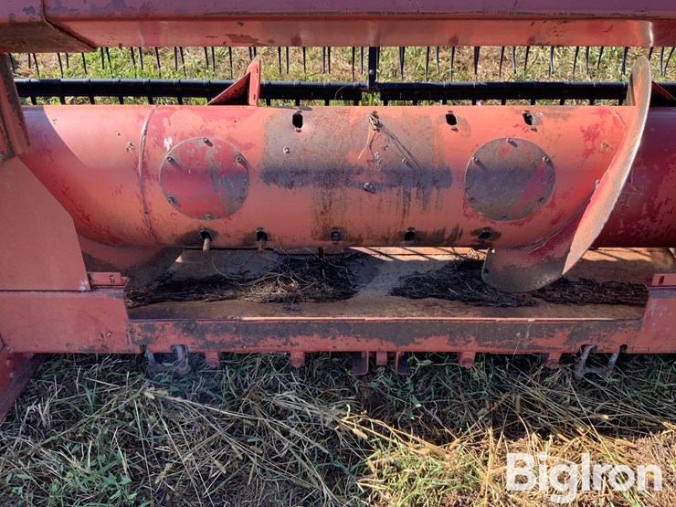 international-15-image-20