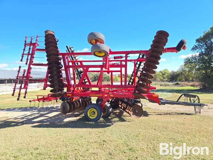 2016-sunflower-1436-33-image-4