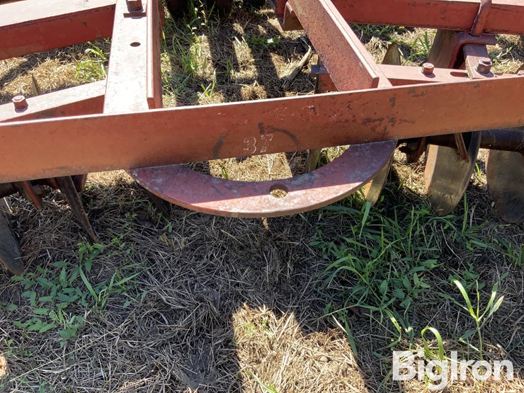 international-370-image-17