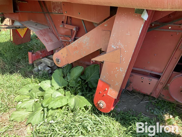 1981-international-1440-image-12