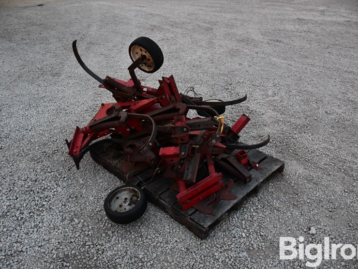 international-183-image-3