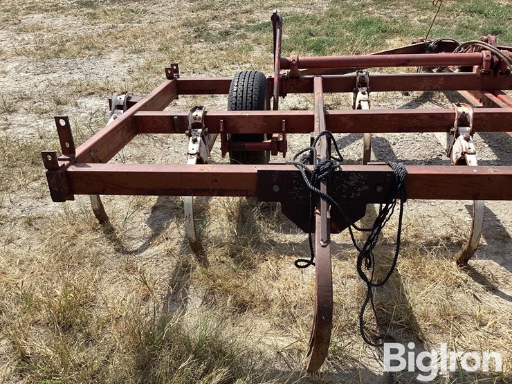 international-11-image-17