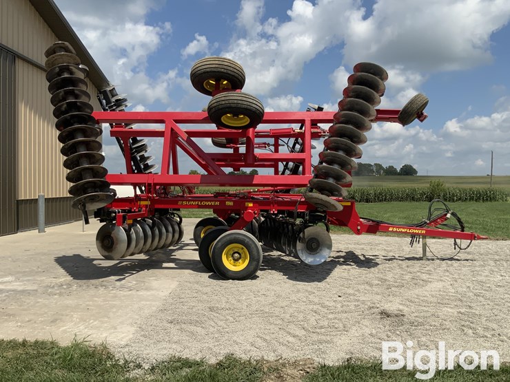 2010-sunflower-1435-image-4