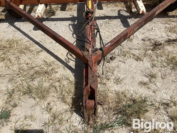 international-11-image-9