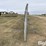 freestanding-livestock-windbreak-image-8
