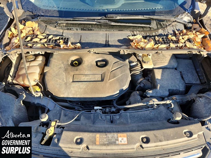 2014-ford-escape-se-image-24