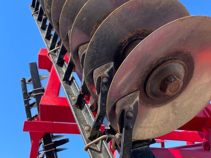 sunflower-disc-image-14