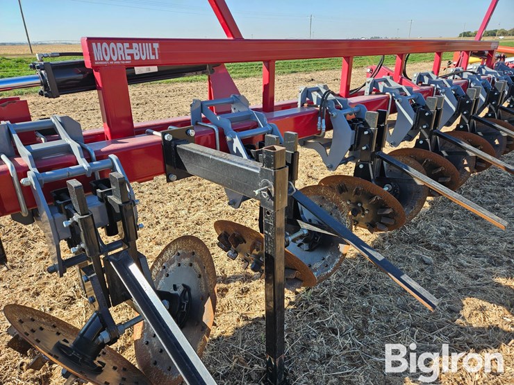 besler-2000-image-20