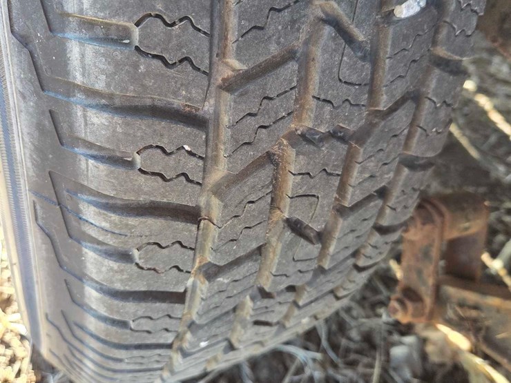 rice-trailer-image-18