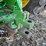 john-deere-8200-image-22